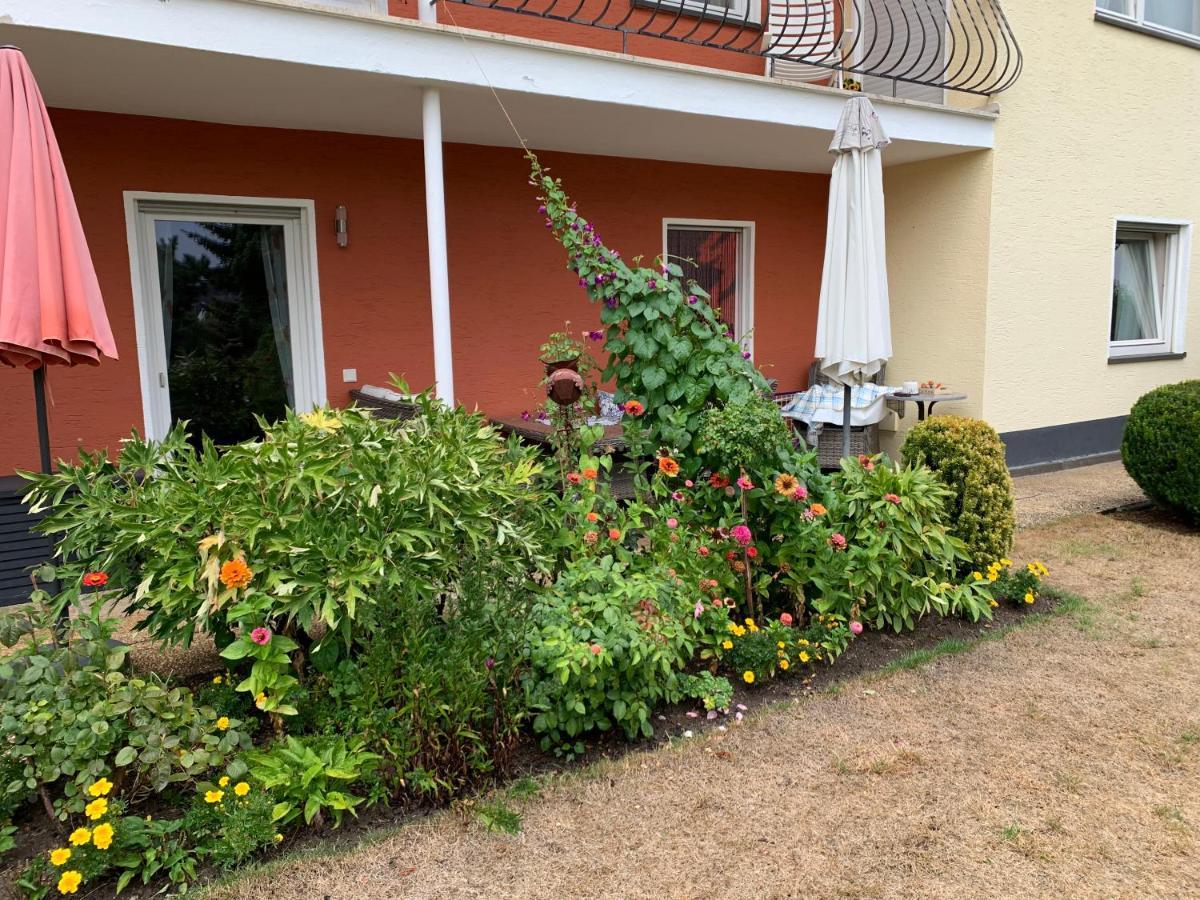 Apartmán Gruene Oase Kottenheim Exteriér fotografie
