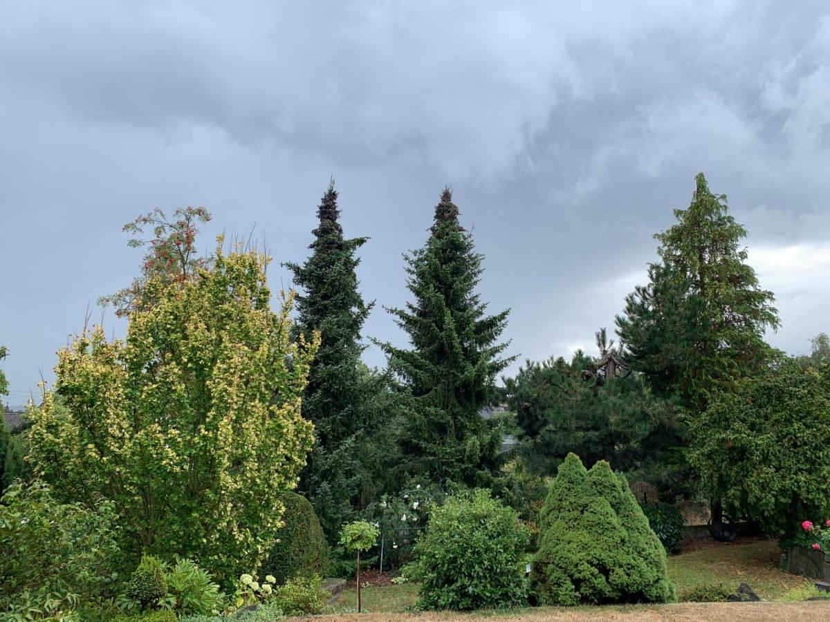 Apartmán Gruene Oase Kottenheim Exteriér fotografie
